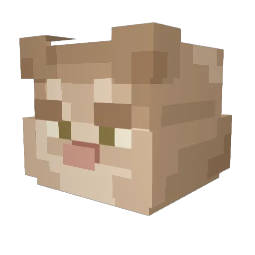 kirawan Minecraft avatar head, 3D render