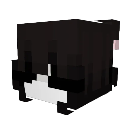 kirayna Minecraft avatar head, 3D render