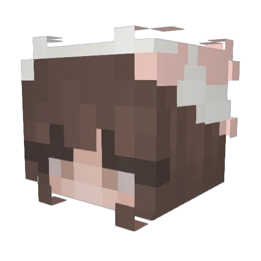 kirballos Minecraft avatar head, 3D render