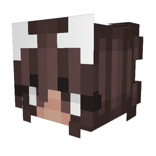 kirby0022 Minecraft avatar head, 3D render