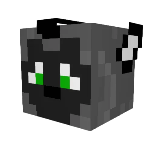 kirby1474 Minecraft avatar head, 3D render