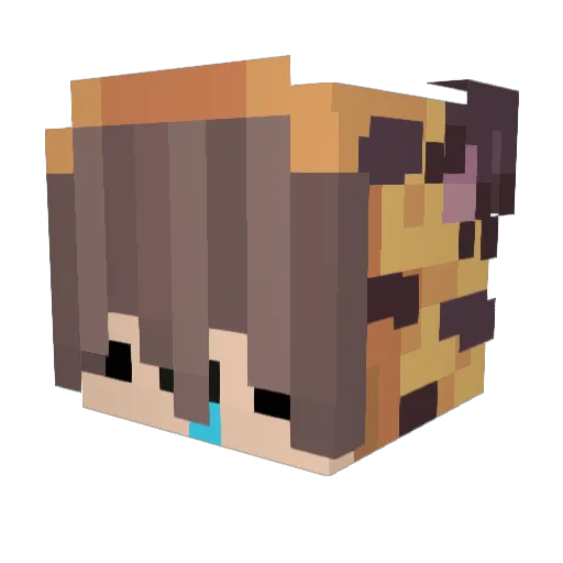 kirbygames16 Minecraft avatar head, 3D render