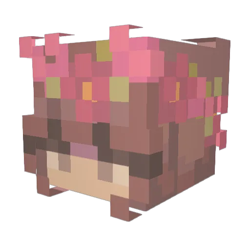 kireiibuns Minecraft avatar head, 3D render