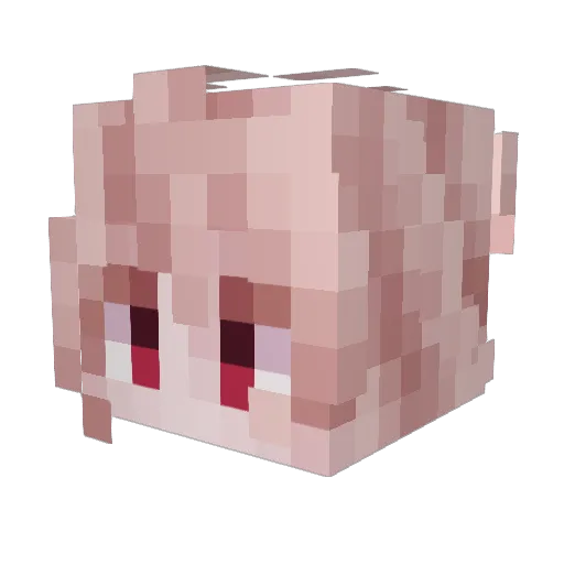 kireinyaa Minecraft avatar head, 3D render
