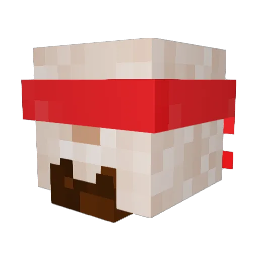 kiri7272 Minecraft avatar head, 3D render