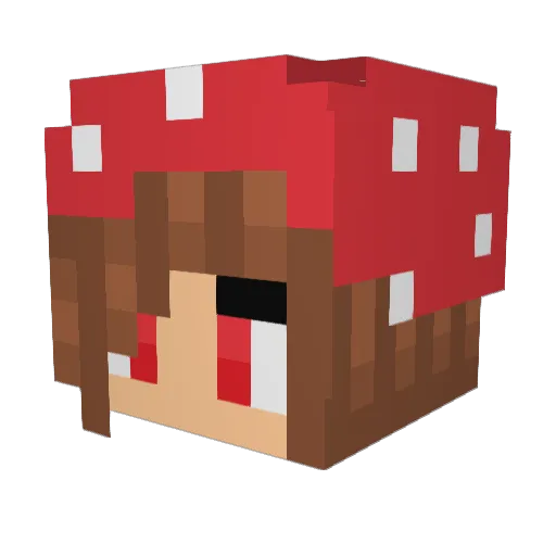 kirppu01 Minecraft avatar head, 3D render