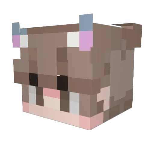 kirrin111 Minecraft avatar head, 3D render
