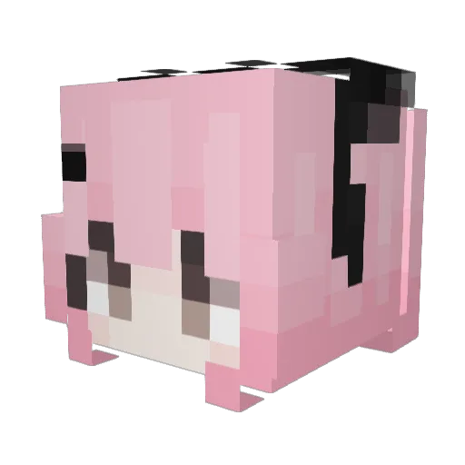 kirstenowo Minecraft avatar head, 3D render