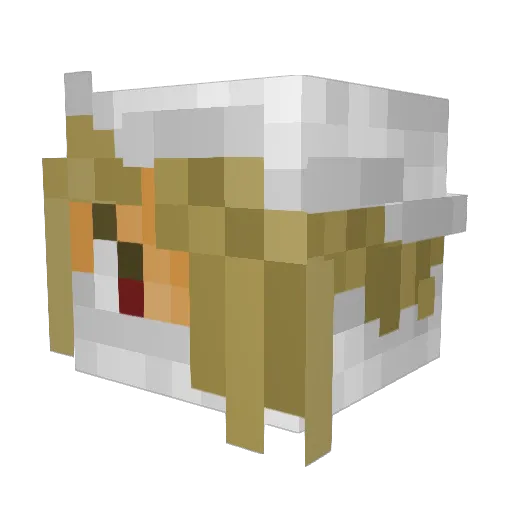 kirthebeast Minecraft avatar head, 3D render