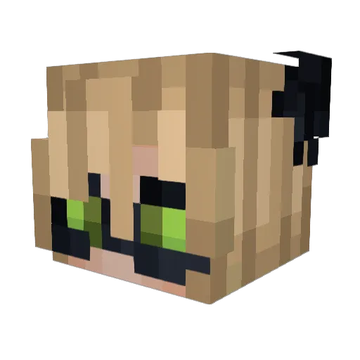 kiru176 Minecraft avatar head, 3D render