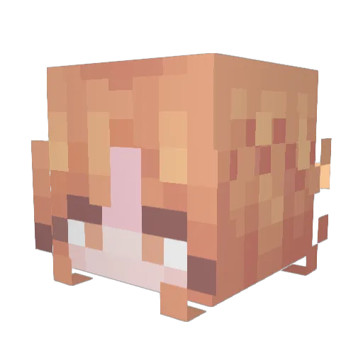 kirugoniso Minecraft avatar head, 3D render