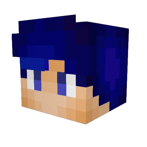 kisaki201 Minecraft avatar head, 3D render