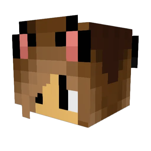 kiska542 Minecraft avatar head, 3D render