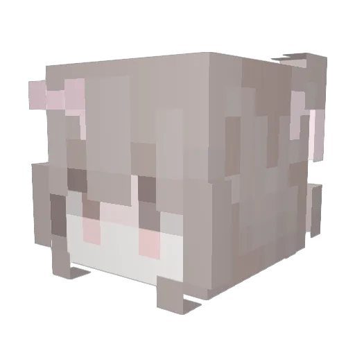 kisko_murko Minecraft avatar head, 3D render