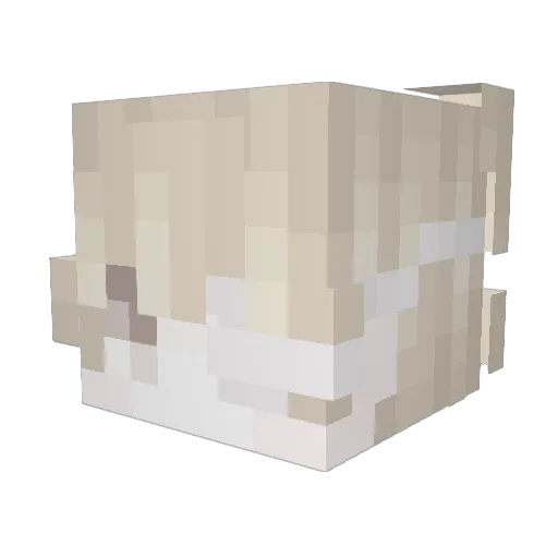 kisushiyo Minecraft avatar head, 3D render