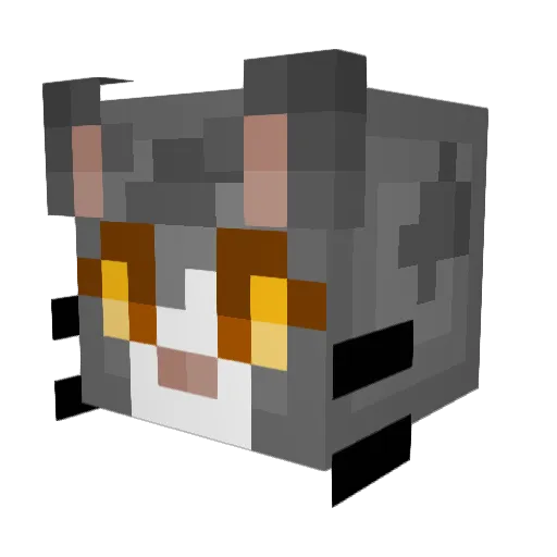 kitNkaboodles_ Minecraft avatar head, 3D render