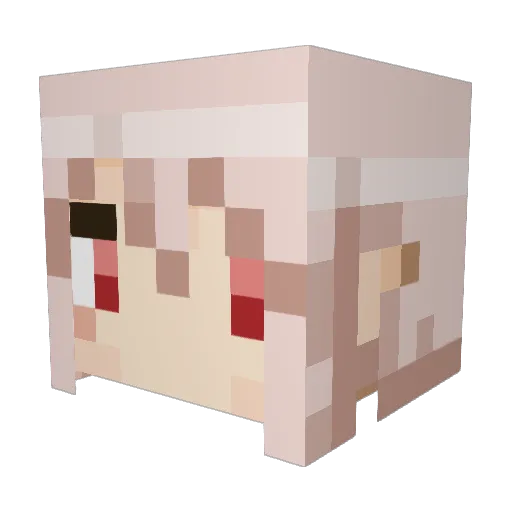 kitagawasan Minecraft avatar head, 3D render