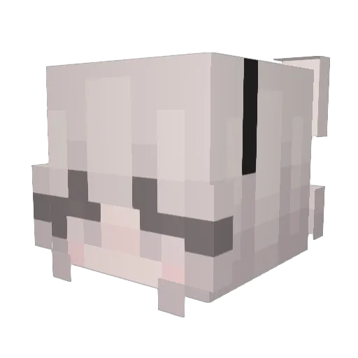 kite404 Minecraft avatar head, 3D render