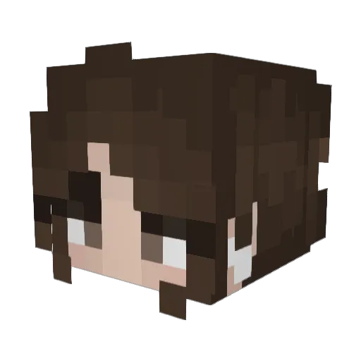 kitily Minecraft avatar head, 3D render