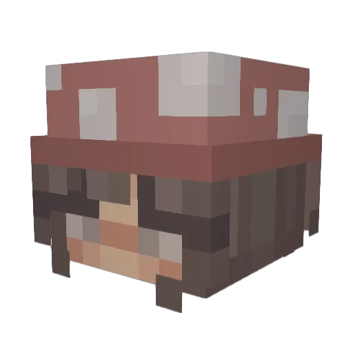 kitkatnat0 Minecraft avatar head, 3D render