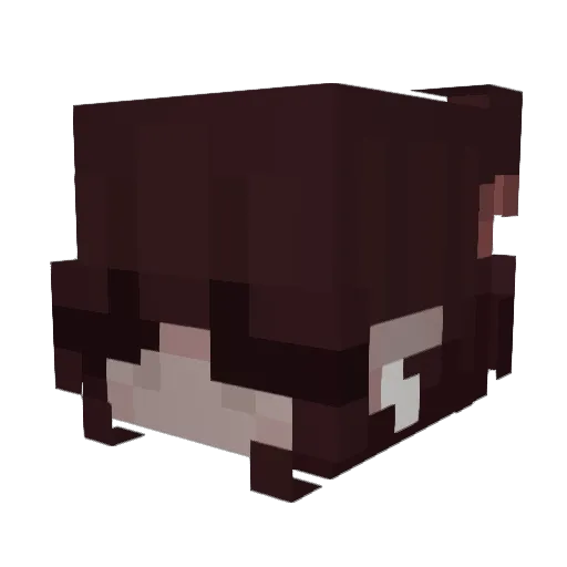 kitora Minecraft avatar head, 3D render