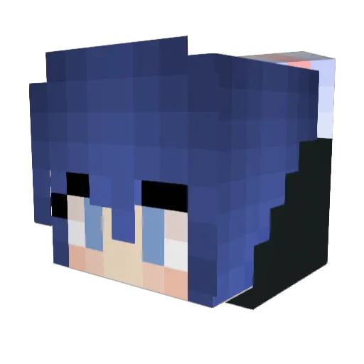 kitprotection Minecraft avatar head, 3D render