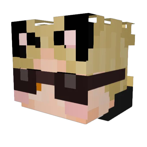 kits4prez Minecraft avatar head, 3D render