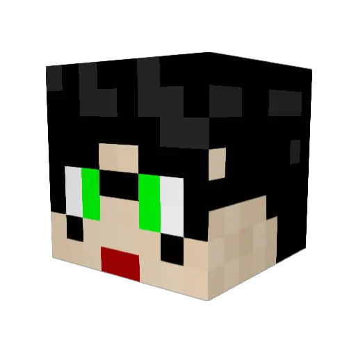 kitteh666 Minecraft avatar head, 3D render