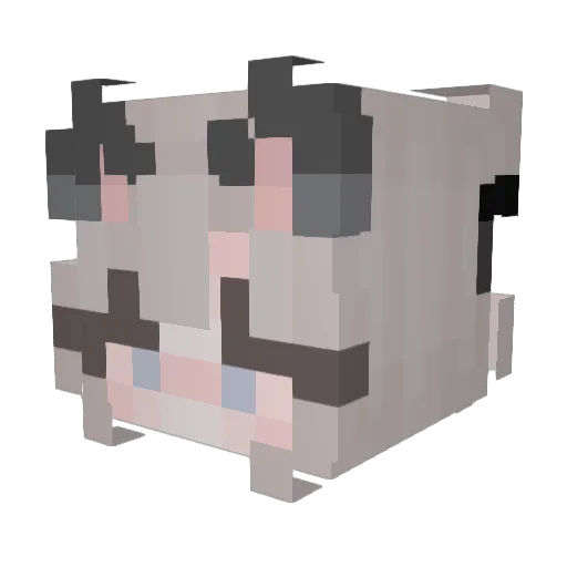kitten_are_cute Minecraft avatar head, 3D render