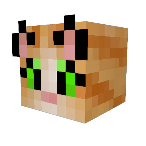 kittens33 Minecraft avatar head, 3D render