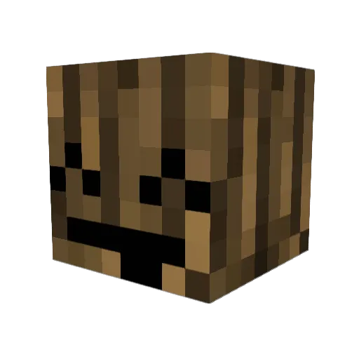kittensss312 Minecraft avatar head, 3D render
