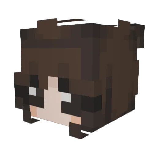 kittiez4dayz Minecraft avatar head, 3D render