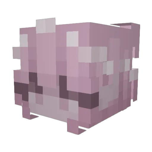 kittiies Minecraft avatar head, 3D render