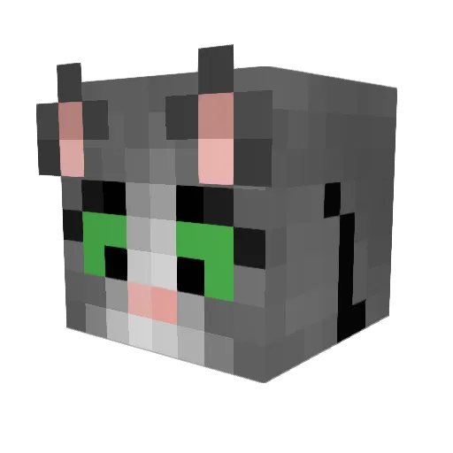 kitttylicker Minecraft avatar head, 3D render