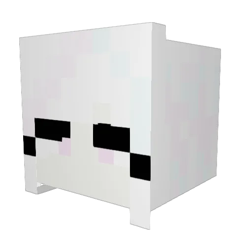 kitty2088 Minecraft avatar head, 3D render