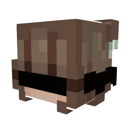 kitty9070y Minecraft avatar head, 3D render
