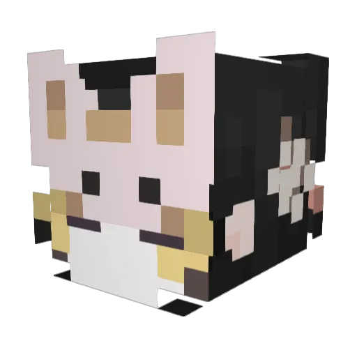 kitty_cherr Minecraft avatar head, 3D render