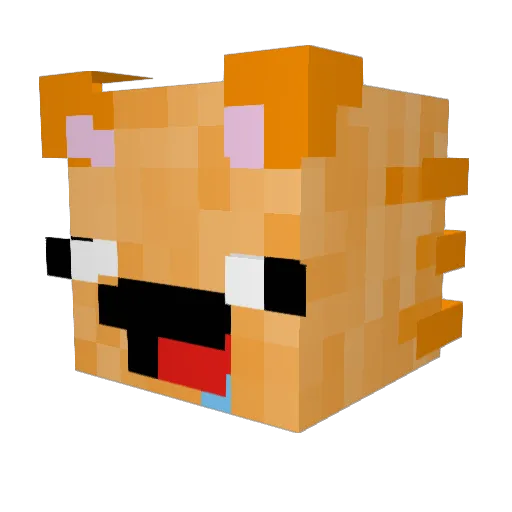 kitty_kat32750 Minecraft avatar head, 3D render