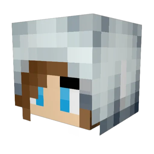 kitty_mittens Minecraft avatar head, 3D render