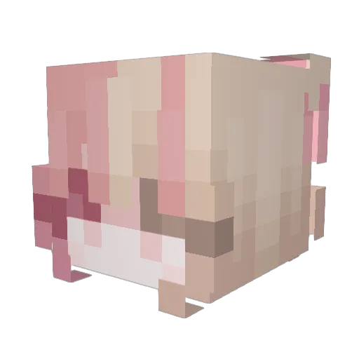 kitty_wan Minecraft avatar head, 3D render