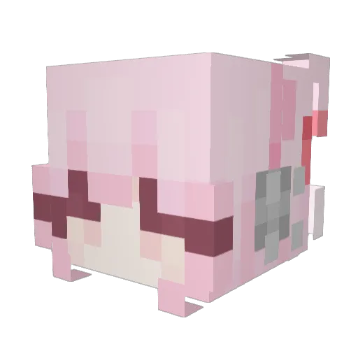 kittyamechan Minecraft avatar head, 3D render
