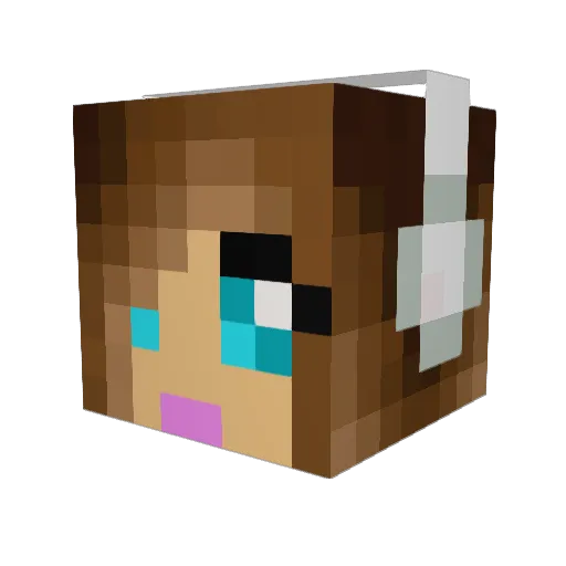 kittycaro Minecraft avatar head, 3D render