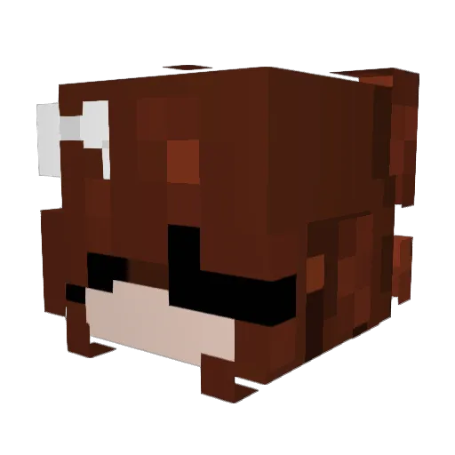 kittycat1264 Minecraft avatar head, 3D render