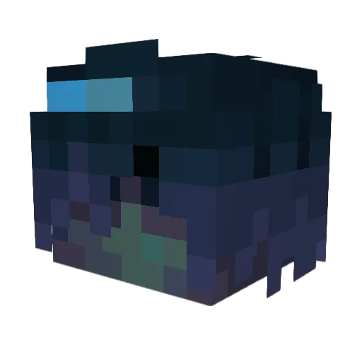 kittycat2204 Minecraft avatar head, 3D render