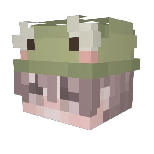 kittycatcat07 Minecraft avatar head, 3D render
