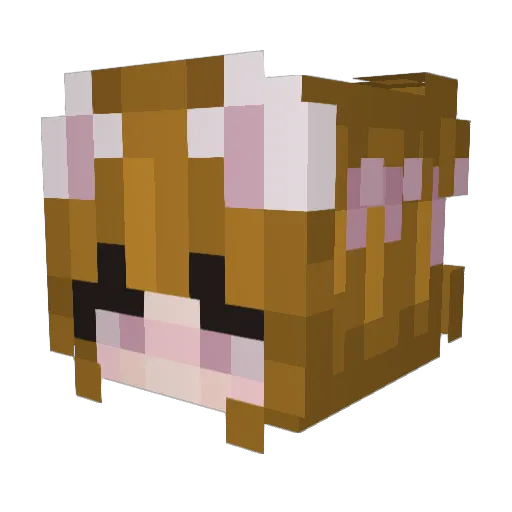 kittycatcraft999 Minecraft avatar head, 3D render