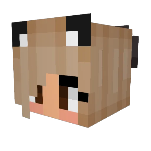 kittycativy Minecraft avatar head, 3D render
