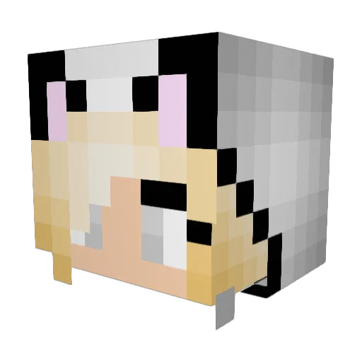 kittycatlover900 Minecraft avatar head, 3D render