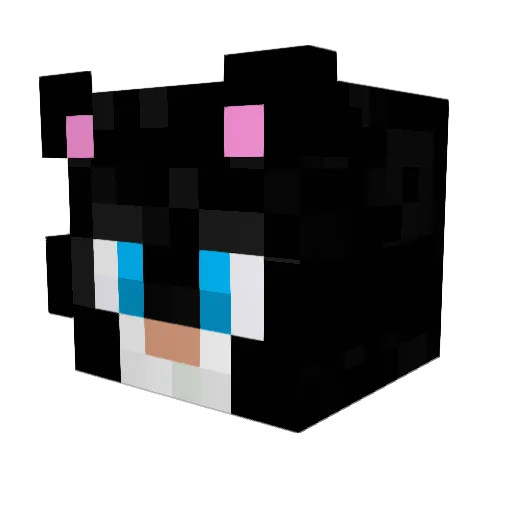 kittycatlvr42 Minecraft avatar head, 3D render