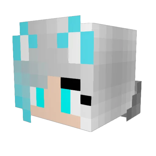 kittycoolplays Minecraft avatar head, 3D render
